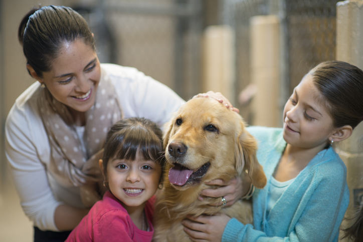 Rescue Village Donations - Woofstock