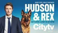 Hudson & Rex