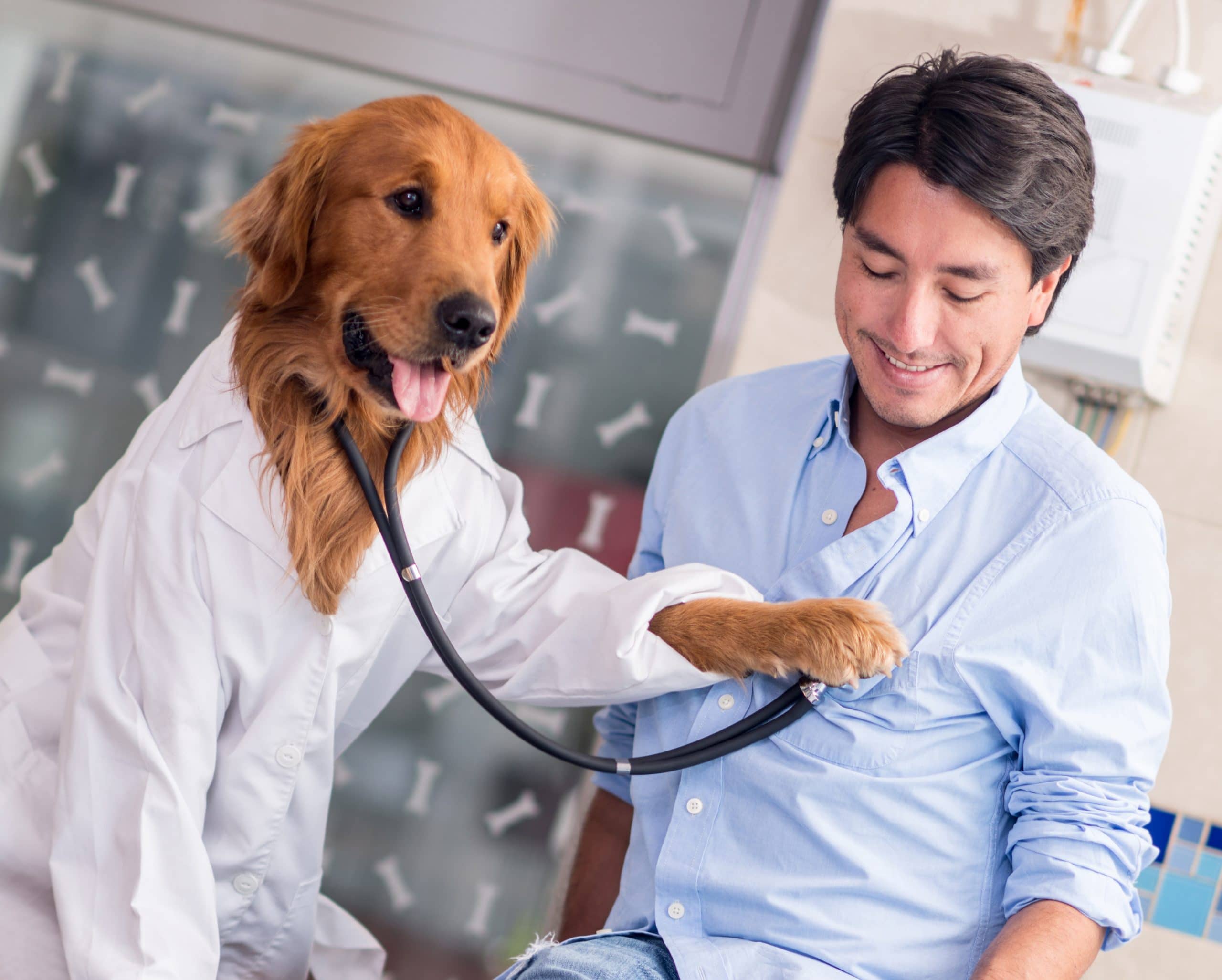 Dog at the Vet